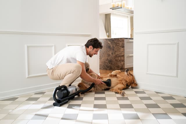 Nilfisk S1 Pet Care ledningsfri støvsuger 128390168 (sort)