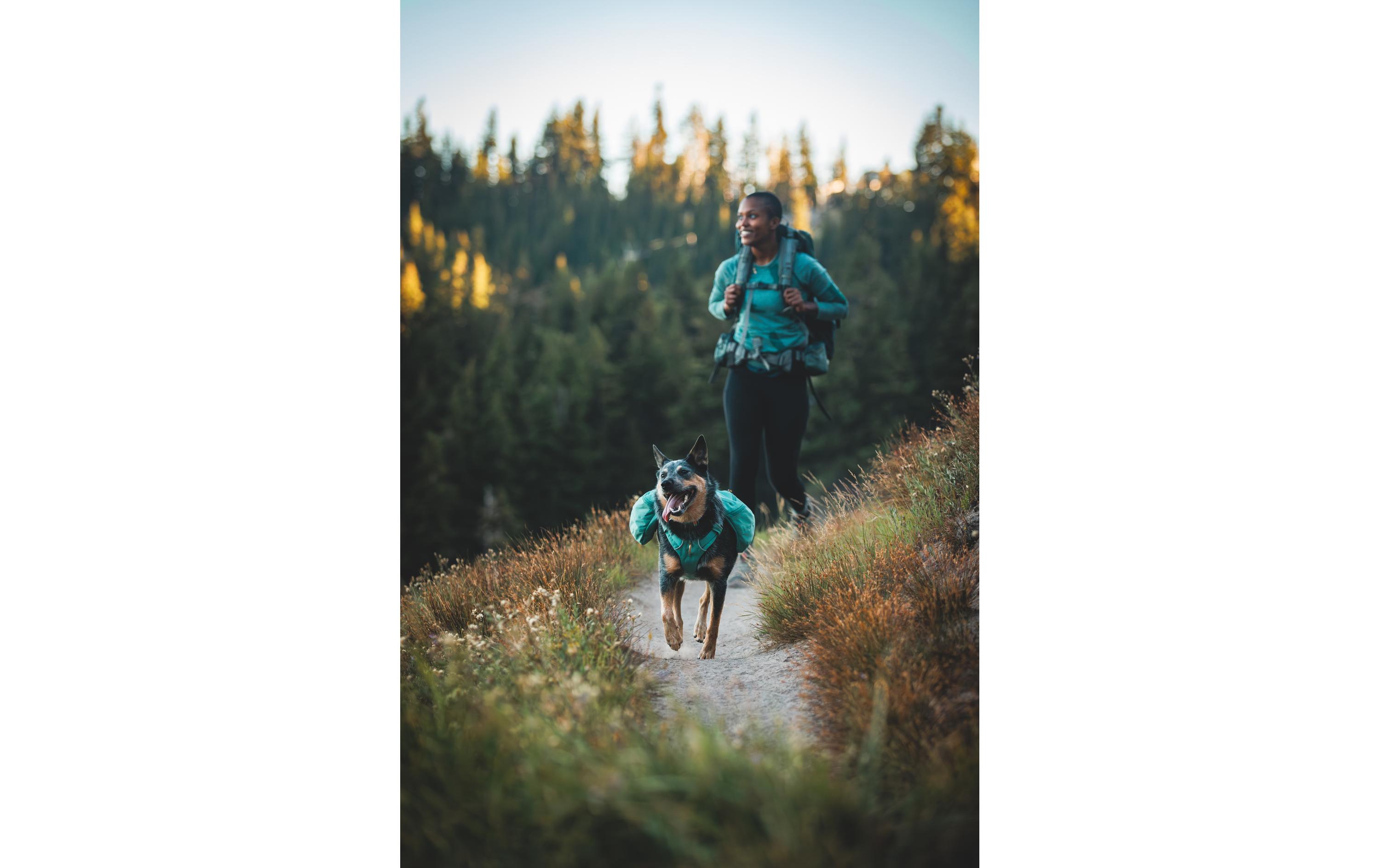 Rucksack Front Range Day Pack, Large/X-Large<br>Hunderucksack