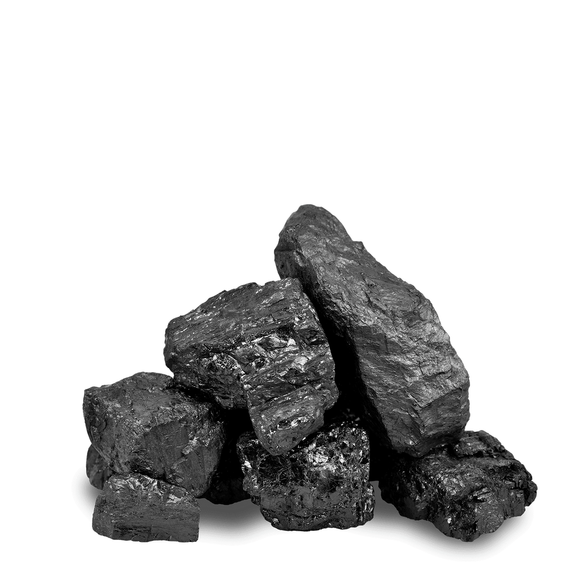 ANMAG steenkool 25 - 60 mm 20kg