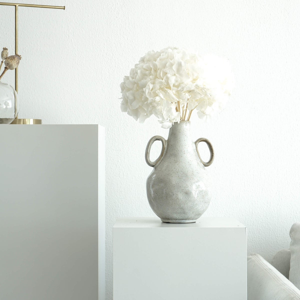 Hortensia: Tijdloze schoonheid, geconserveerde hortensia's als perfecte decoratie