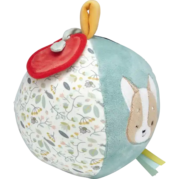 Activity Ball