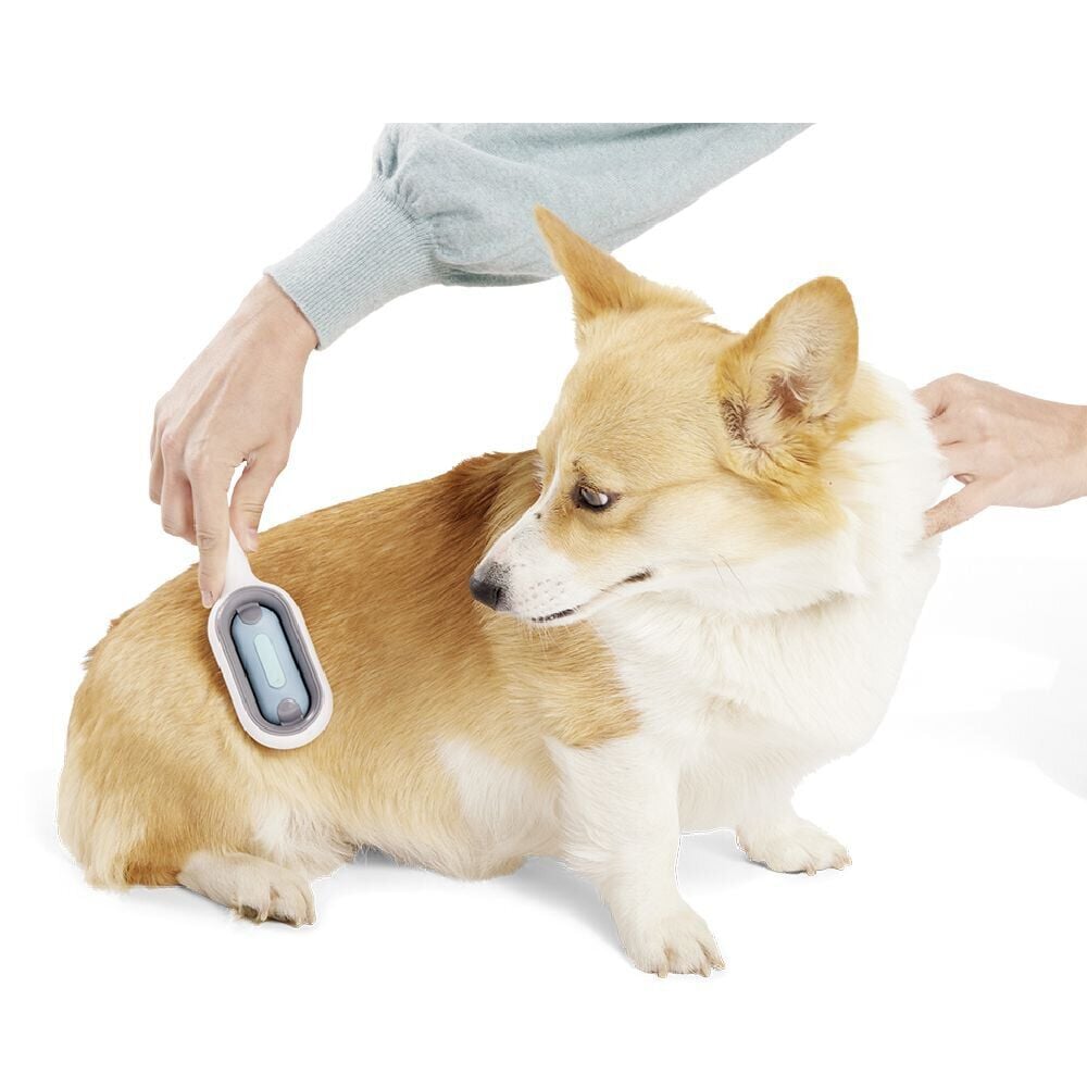 Brosse pour chien et chat toilettage et attrape-poils avec réservoir d'eau