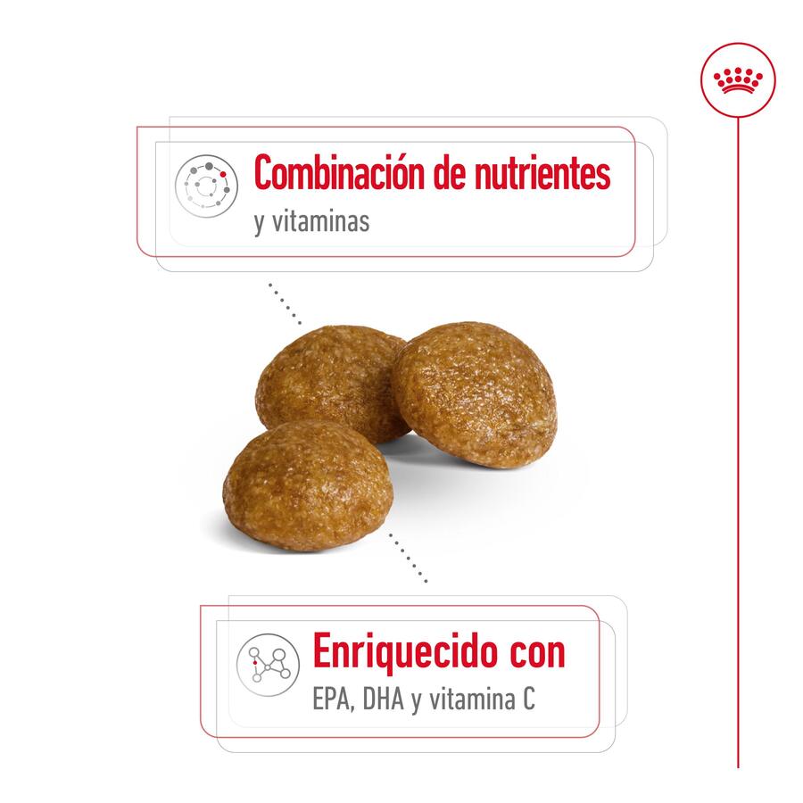 Ração Royal Canin X-Small para cães adultos com mais de 8 anos