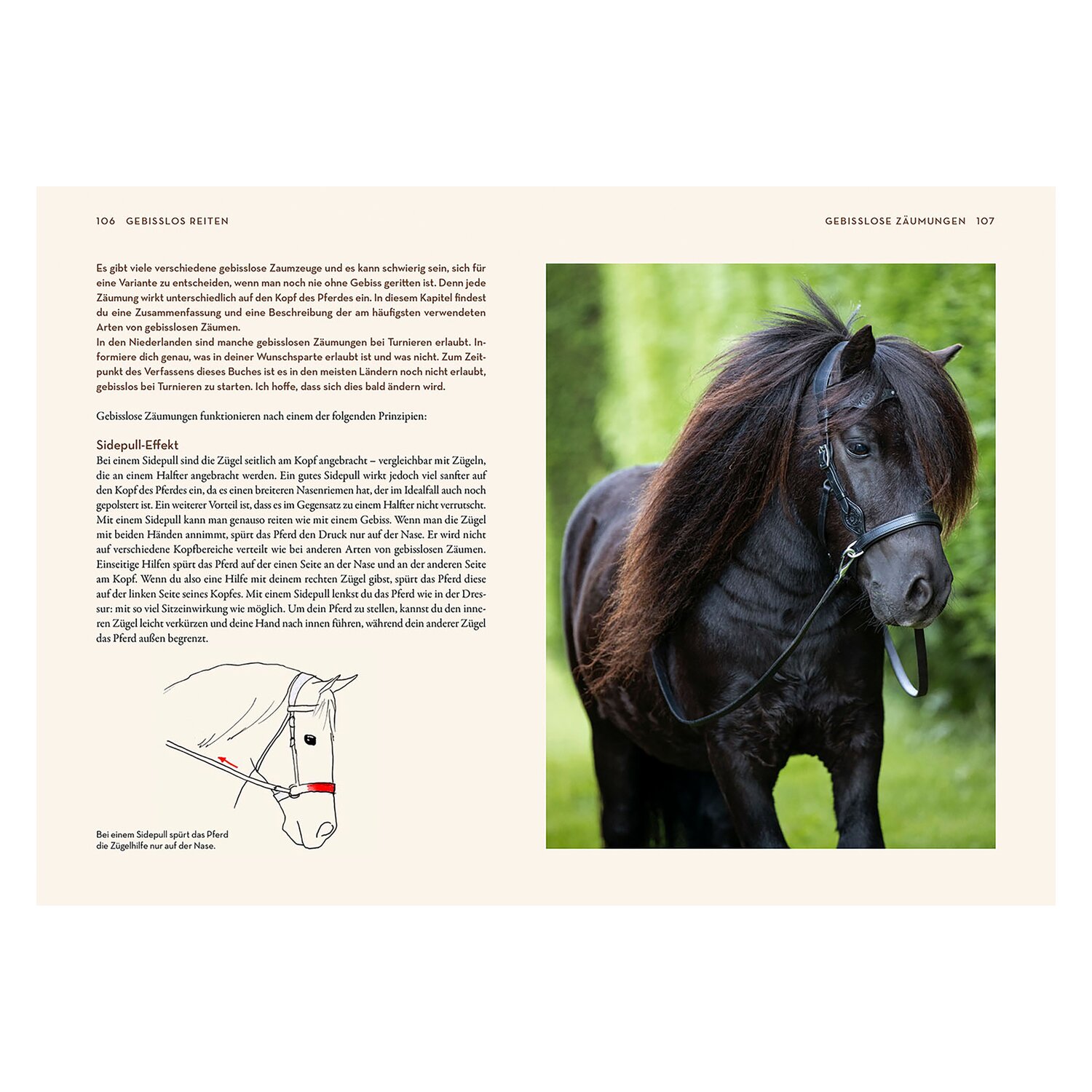 KOSMOS Gebisslos Reiten