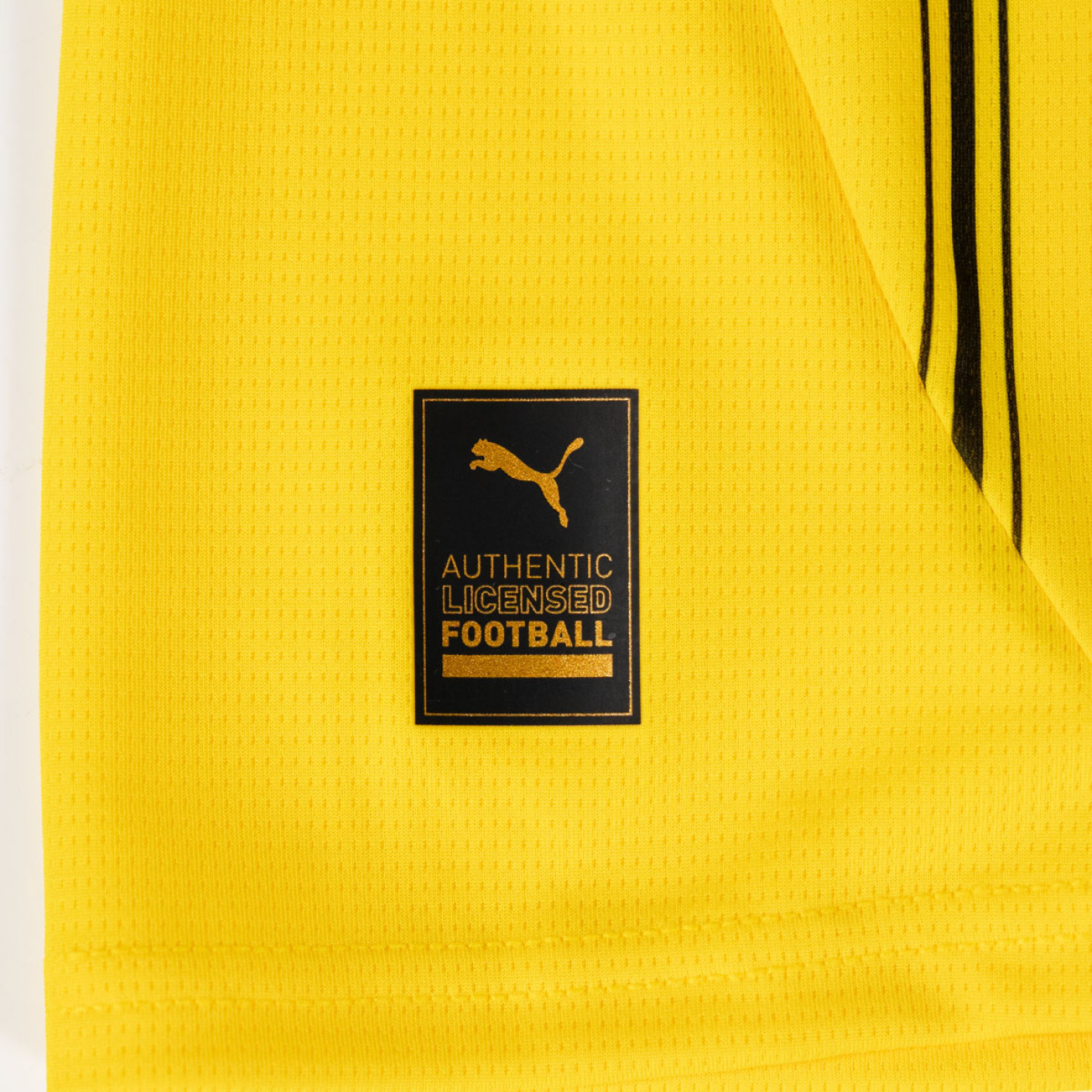 PUMA Borussia Dortmund Thuistenue 2024-2025