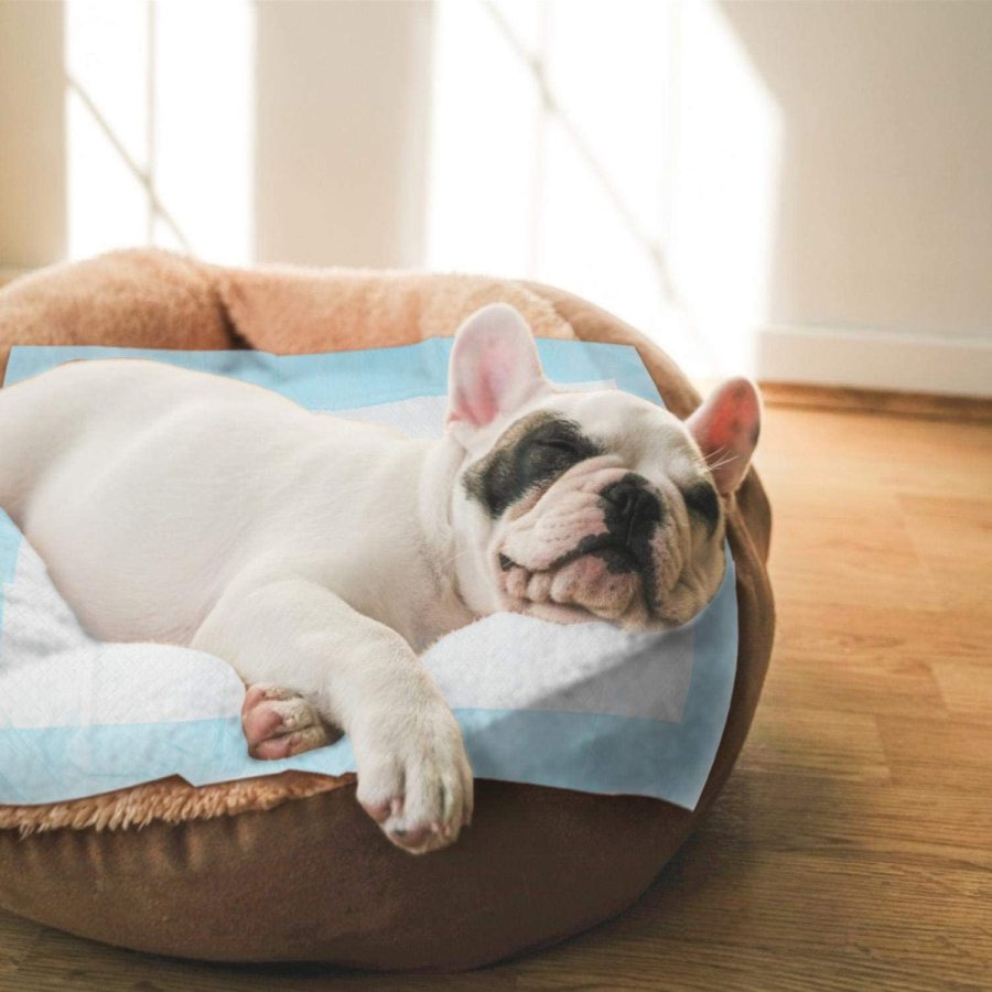 Nobleza - 100 Tapetes Higiênicos para Treinamento de Cães. Ultra absorventes, 60cm x 40cm