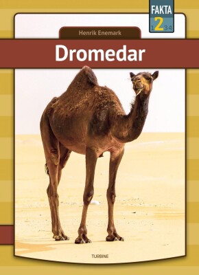 Dromedar - Henrik Enemark - Bog