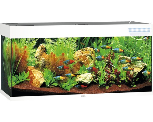 JUWEL Rio 240 aquarium met LED-verlichting, pomp, filter, verwarming (zonder kast), wit