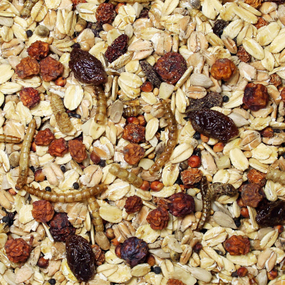 JR Garden Wildvogel-Schmaus ohne Schale 1.5kg