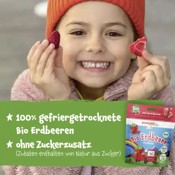 Bio Erdbeere Fruchtchips