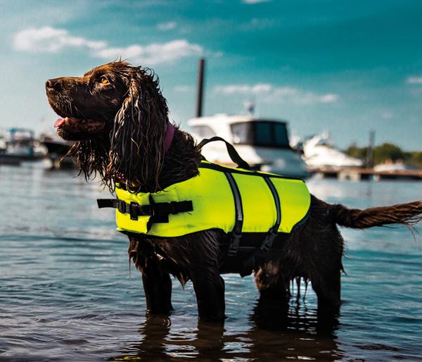Nobby Schwimmhilfe für Hunde, neongelb