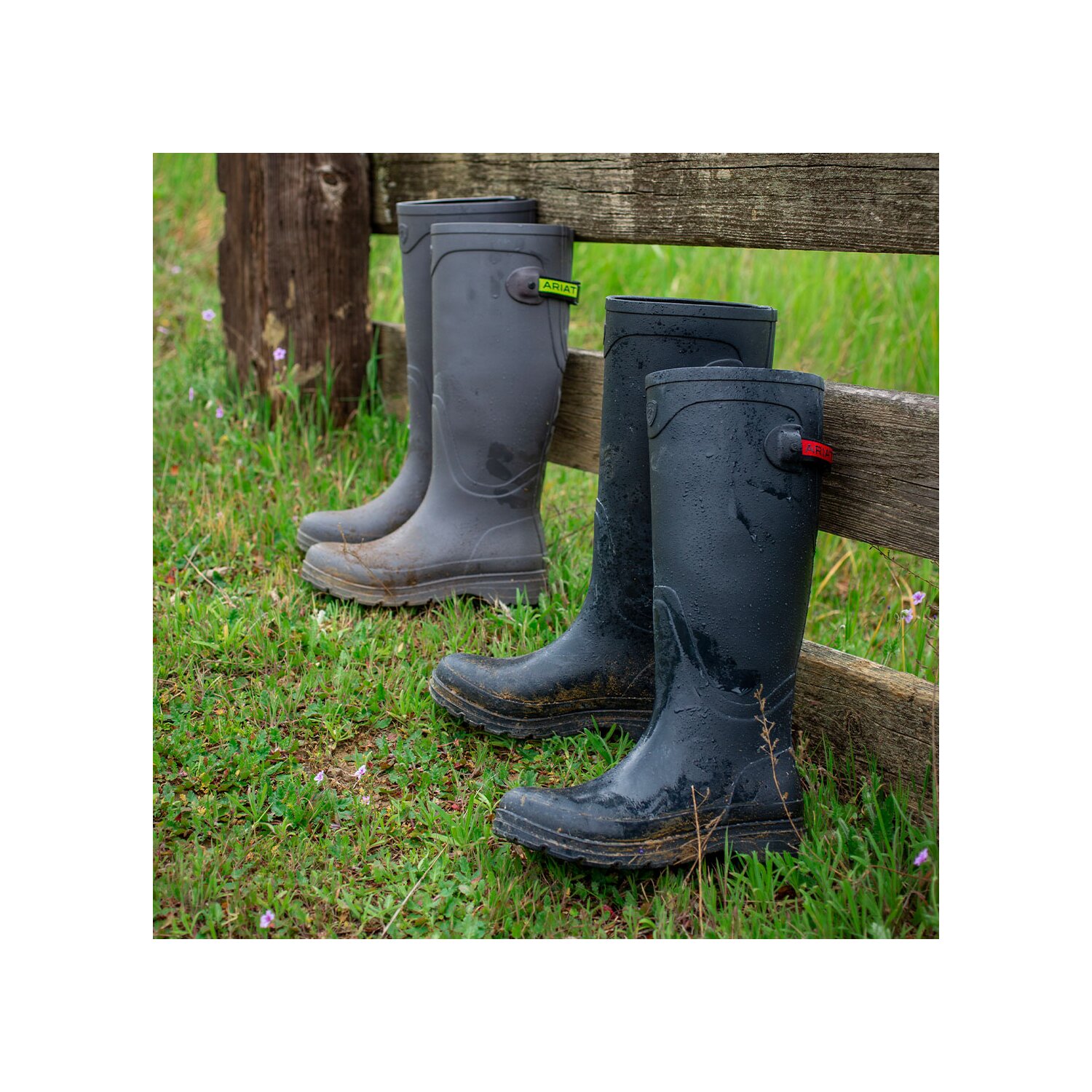 ARIAT Gummistiefel Kelmarsh  - grey