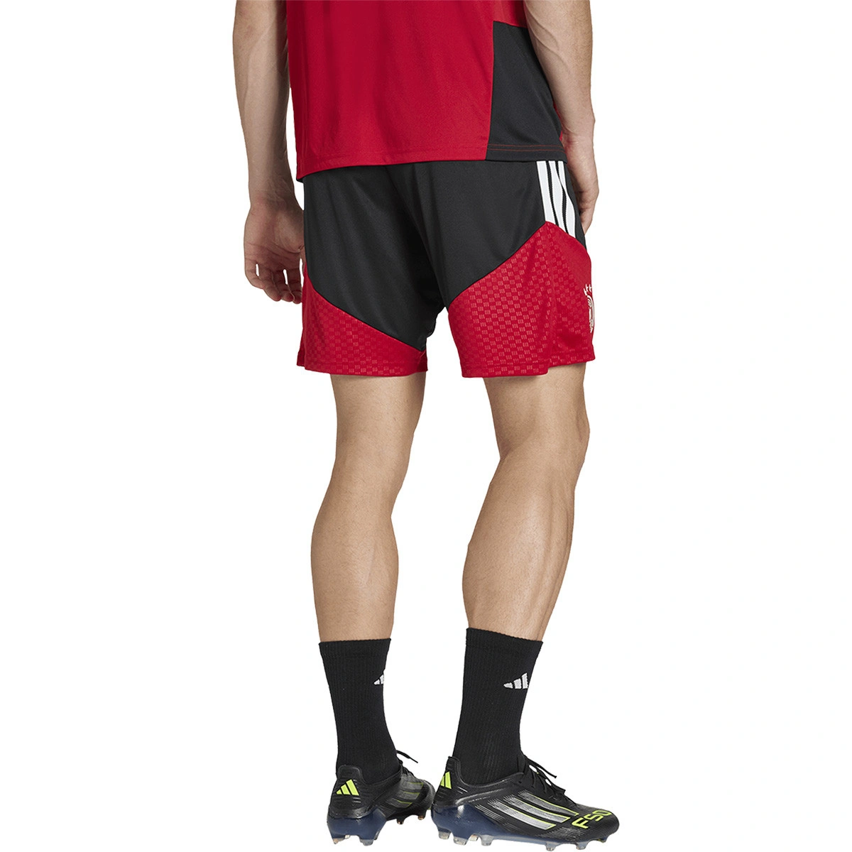 Calções adidas Germany Dfb Training Mundial 2026