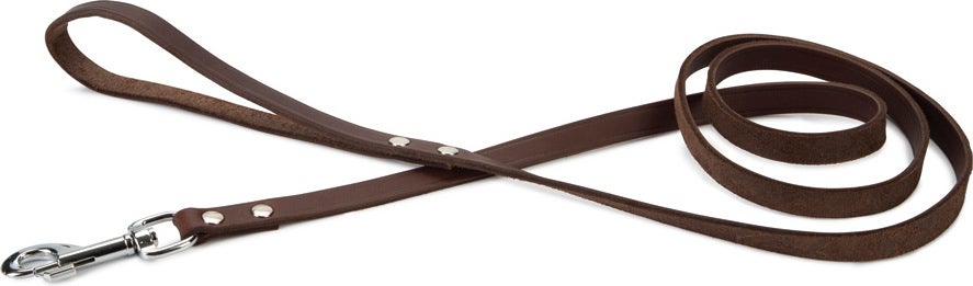 Beeztees hondenriem Geniet bruin 165 x 1,6 cm