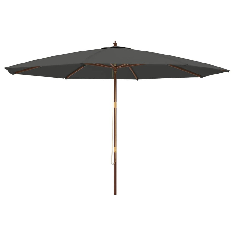 Parasol de jardin avec mât en bois 400 x 273 cm anthracite
