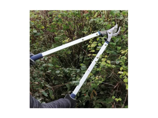 Ébrancheur professionnel 70 cm