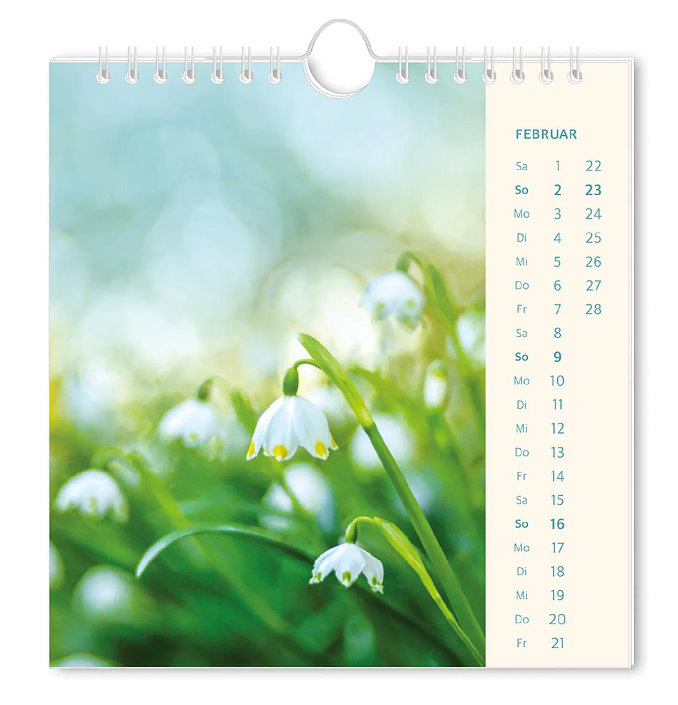 Postkarten Kalender, 2025, Lichtblicke