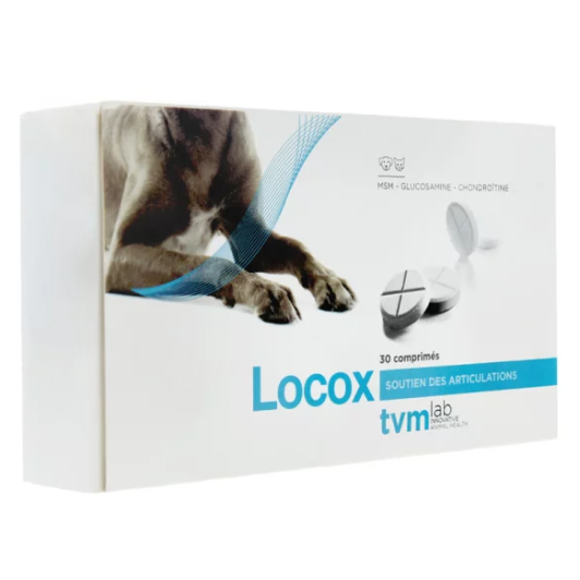 Locox Soutien des Articulations Chats et Chiens