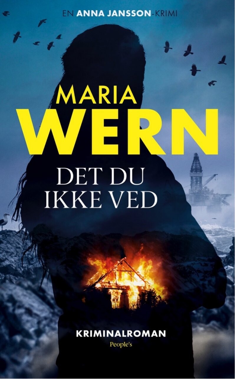 Det Du Ikke Ved - Anna Jansson - Bog
