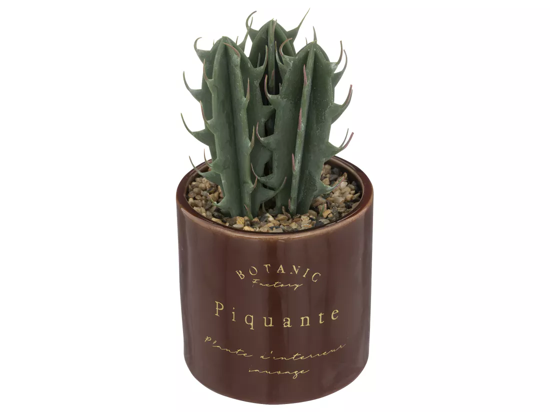 Plante grasse artificielle Pot en céramique émaillée H 19 cm