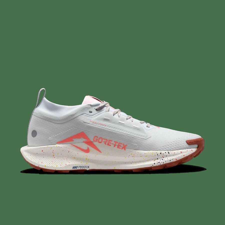 Nike Pegasus Trail 5 GORE-TEX