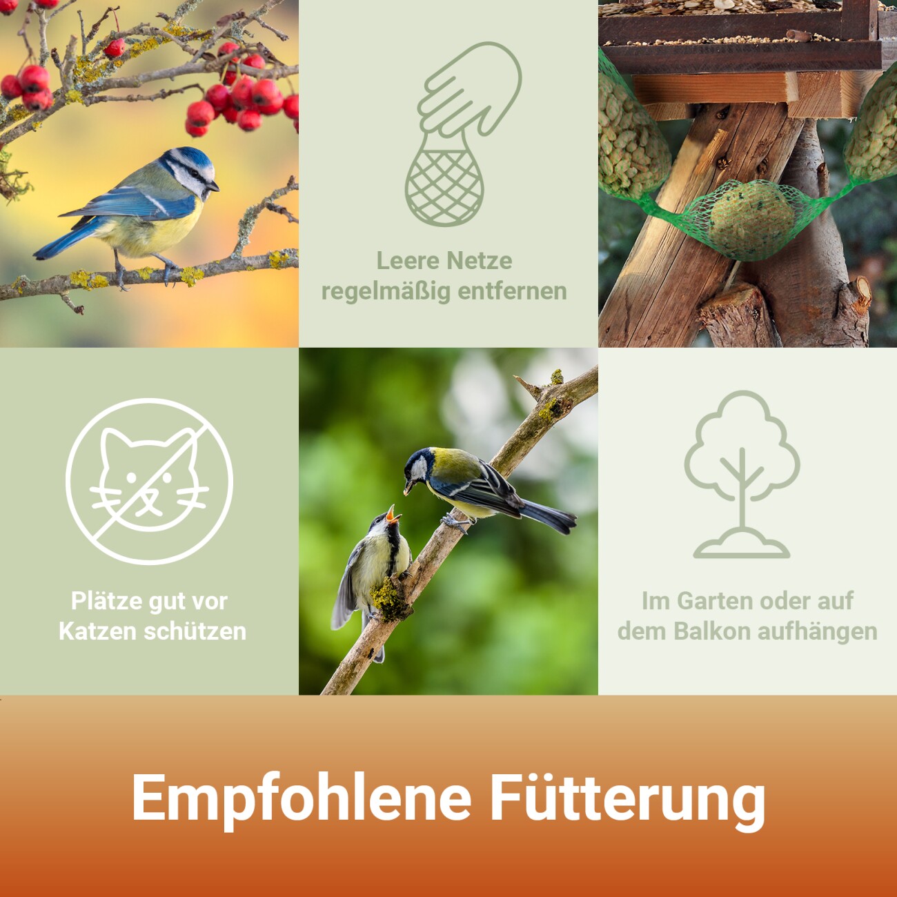 Panto ® FUTTERKETTE