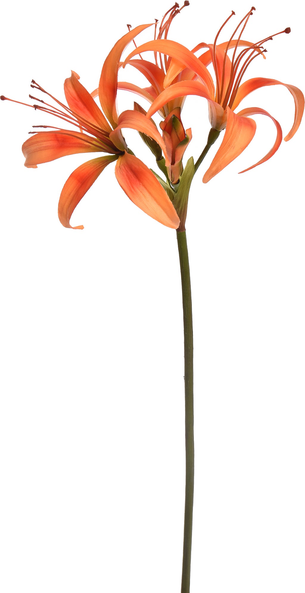 Jasaco PURE kunstbloem Amaryllis oranje 80 cm