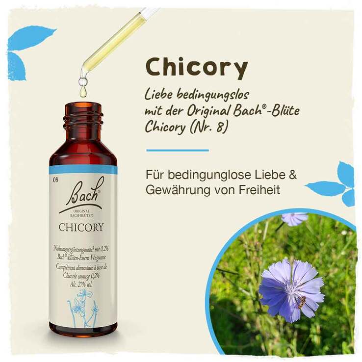 Bachblüten Nr. 8 Chicory Tropfen, 20 ml