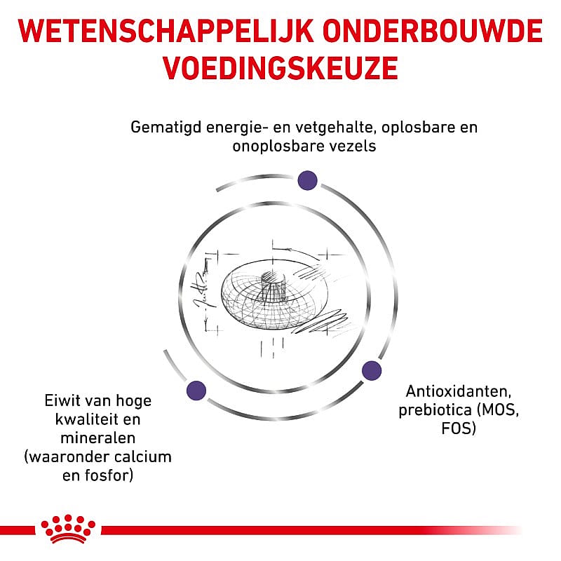 ROYAL CANIN® Medium Dog 10-25Kg Neutered Junior - Hondenvoer voor gecastreerde honden van middelgrote rassen (10 -25 kilo)