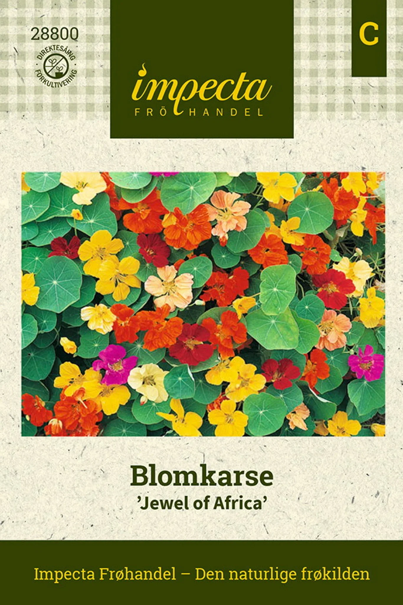 Tropaeolum majus 'Jewel of Africa' Blomkarse 'Jewel Of Africa'