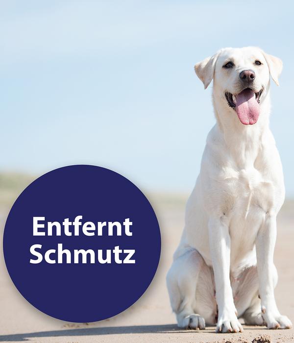 Canosept® Ohrreiniger für Hunde, 125 ml