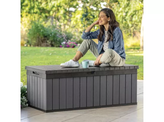 Boîte de rangement de jardin Darwin 380 L Gris