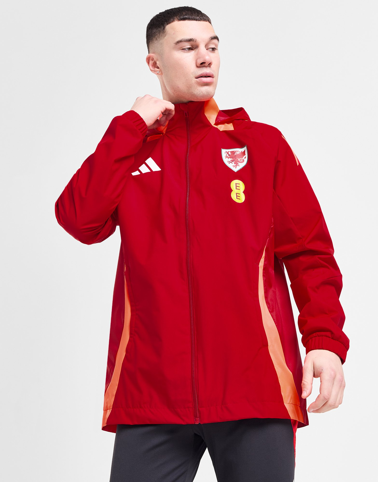 adidas Veste Pays de Galles Tiro 24 All-Weather Homme