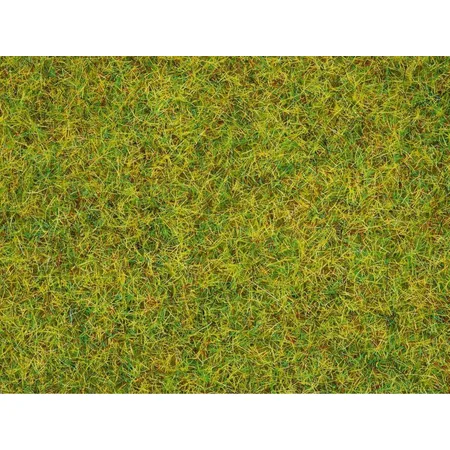 NOCH Streugras Sommerwiese, 20g