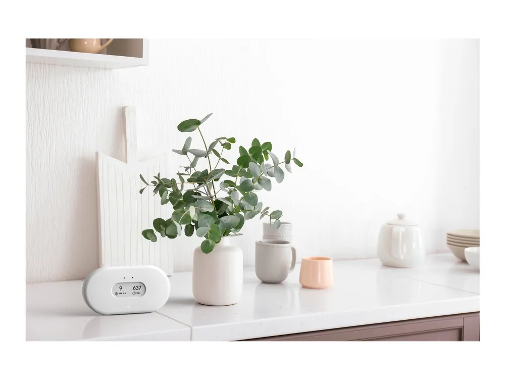 Airthings View Plus