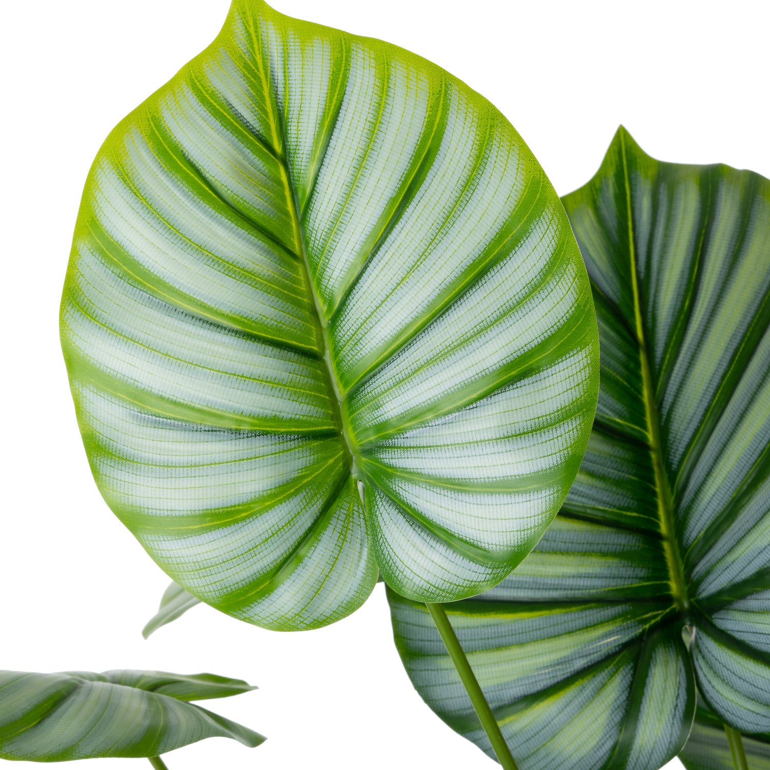 Intratuin kunstplant Caladium 47 x 47 x 60 cm