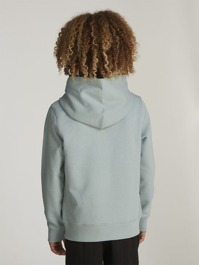 Calvin Klein SMALL MONOGRAM HOODIE Jadeite