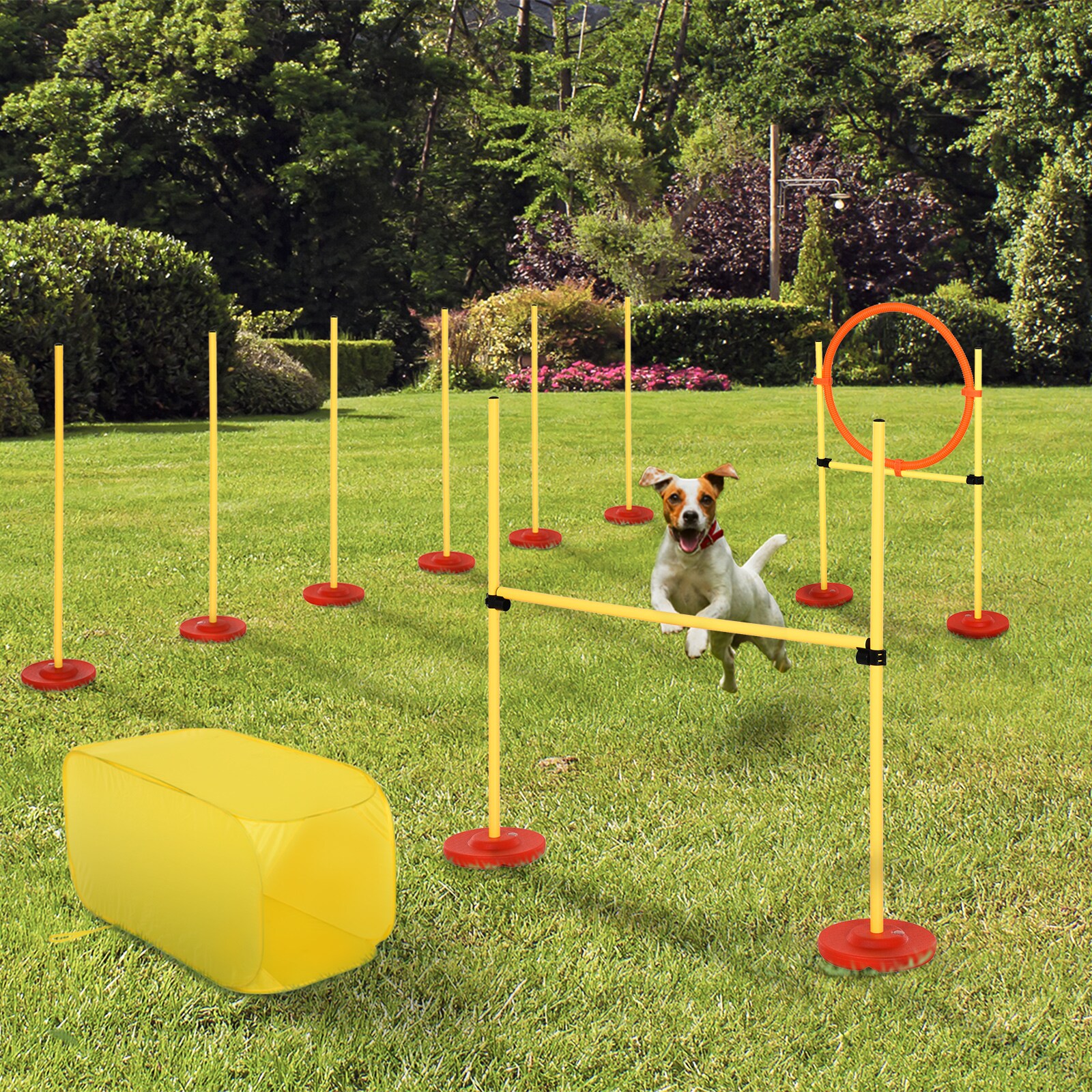 PawHut Agility Set für 4 verschiedene Trainingsvarianten gelb