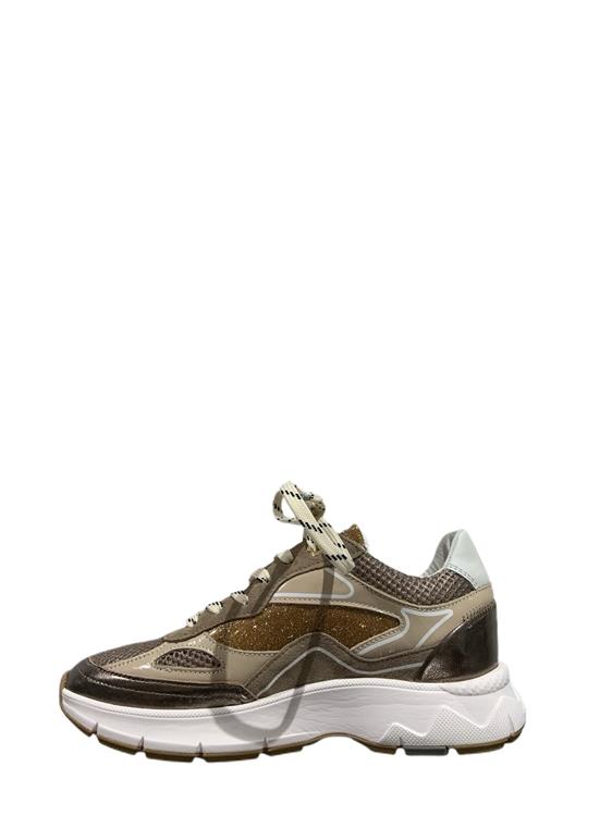 Floris van Bommel SFW-10101 bronz