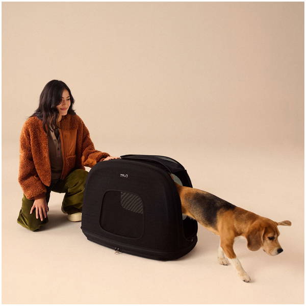 Tavo PetsTavo Pets   Crispin Transportbox onyx Large