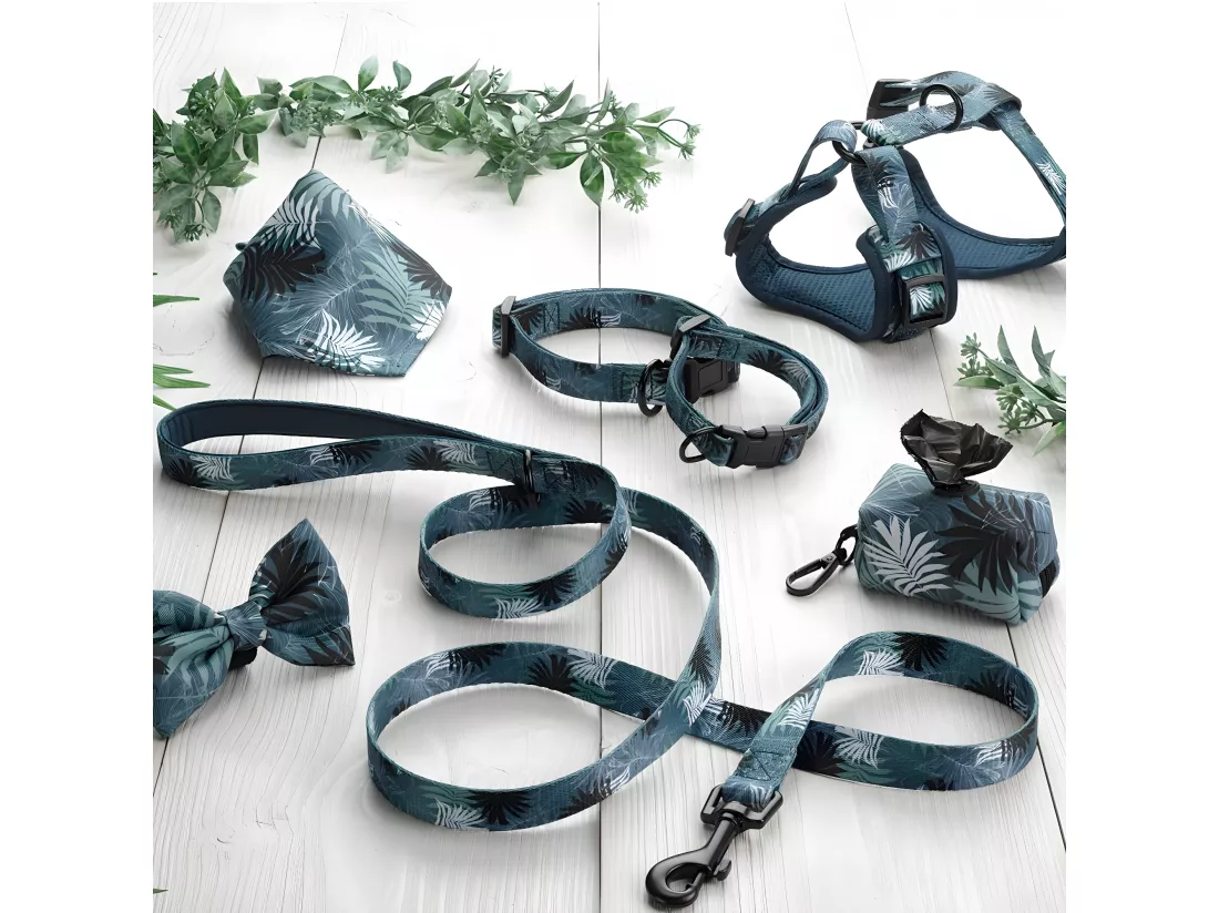 Collier pour Chien Réglable 