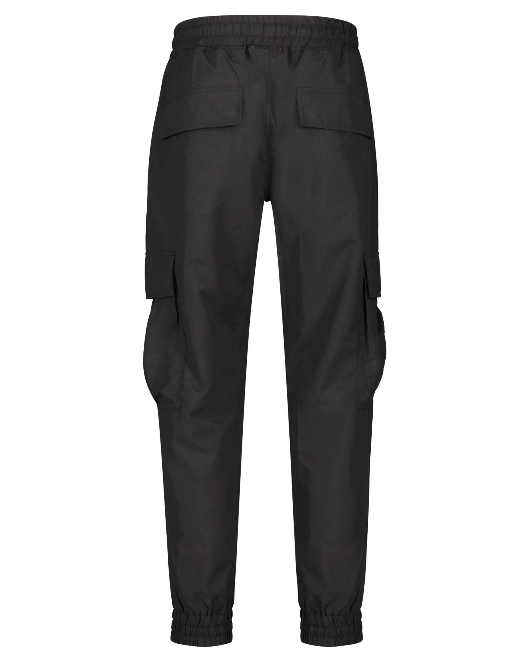 BLUE SKY INN| Herren Cargohose Regular Fit