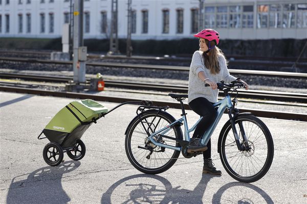 VELOSHOPPER Einkaufswagen  grün