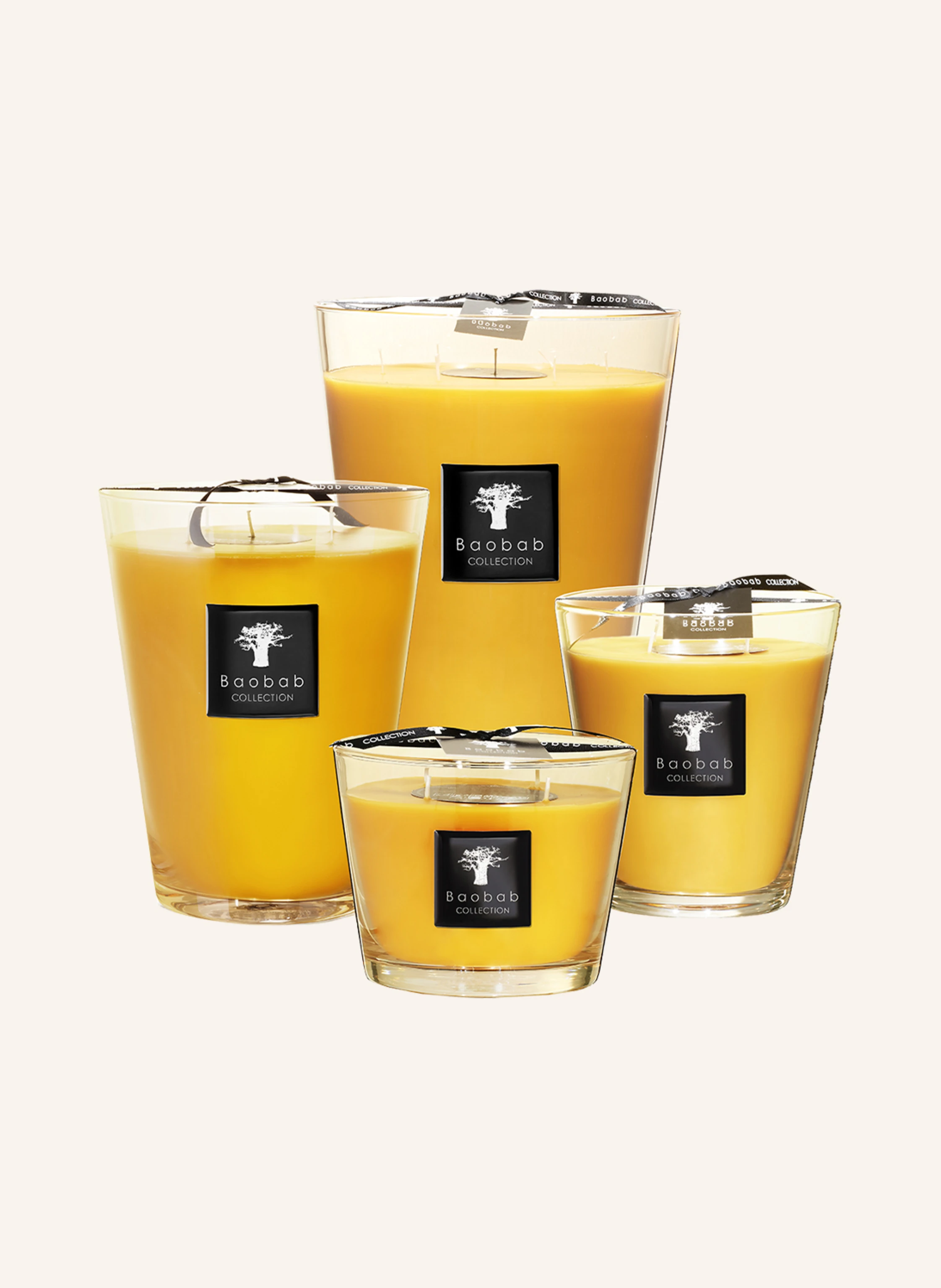 Baobab COLLECTION Duftkerze ZANZIBAR SPICES