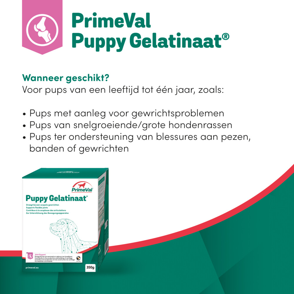 PrimeVal Gelatinaat Puppy350 gr