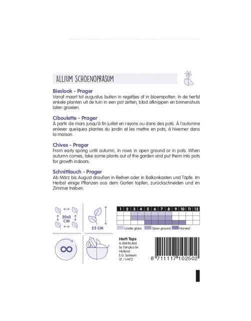 Hortitops Bieslook Prager - Fijne - Kruidenzaden - 2 g