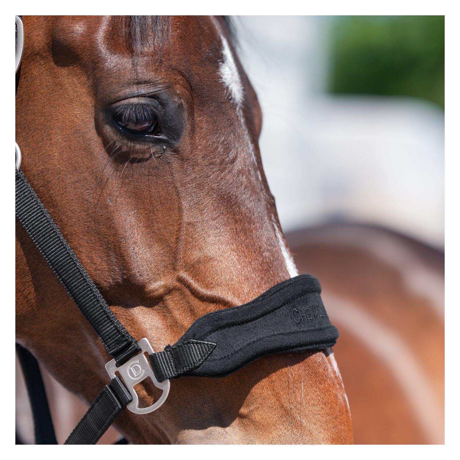 Cheval de Luxe Halfter Bayonne  - schwarz
