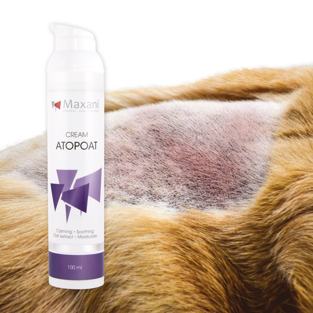 Maxani AtopOat Cream