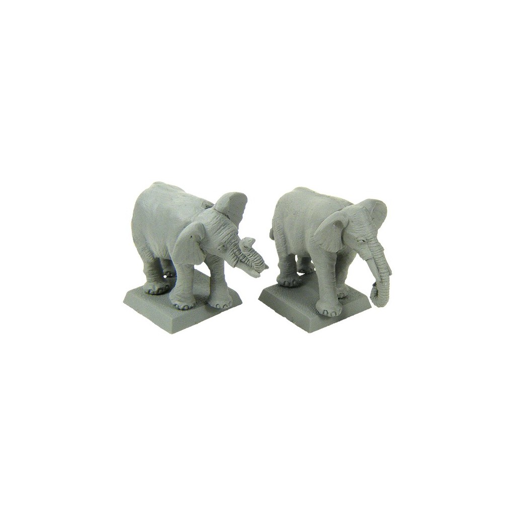 Eléphants Africains