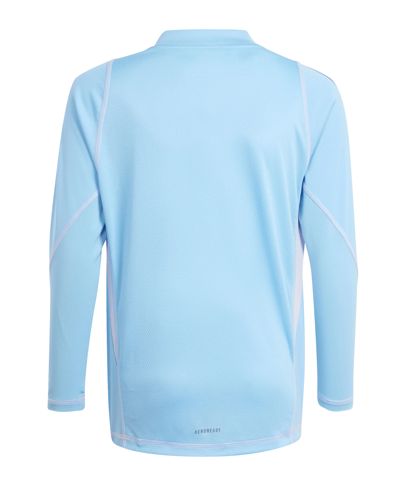 adidas Tiro 24 Pro Torwarttrikot langarm Kids Blau